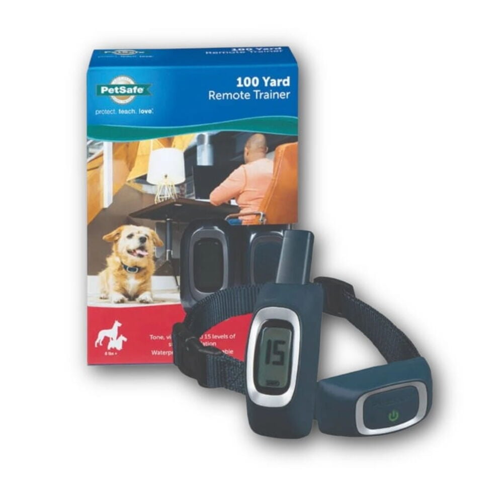 Dog Handling