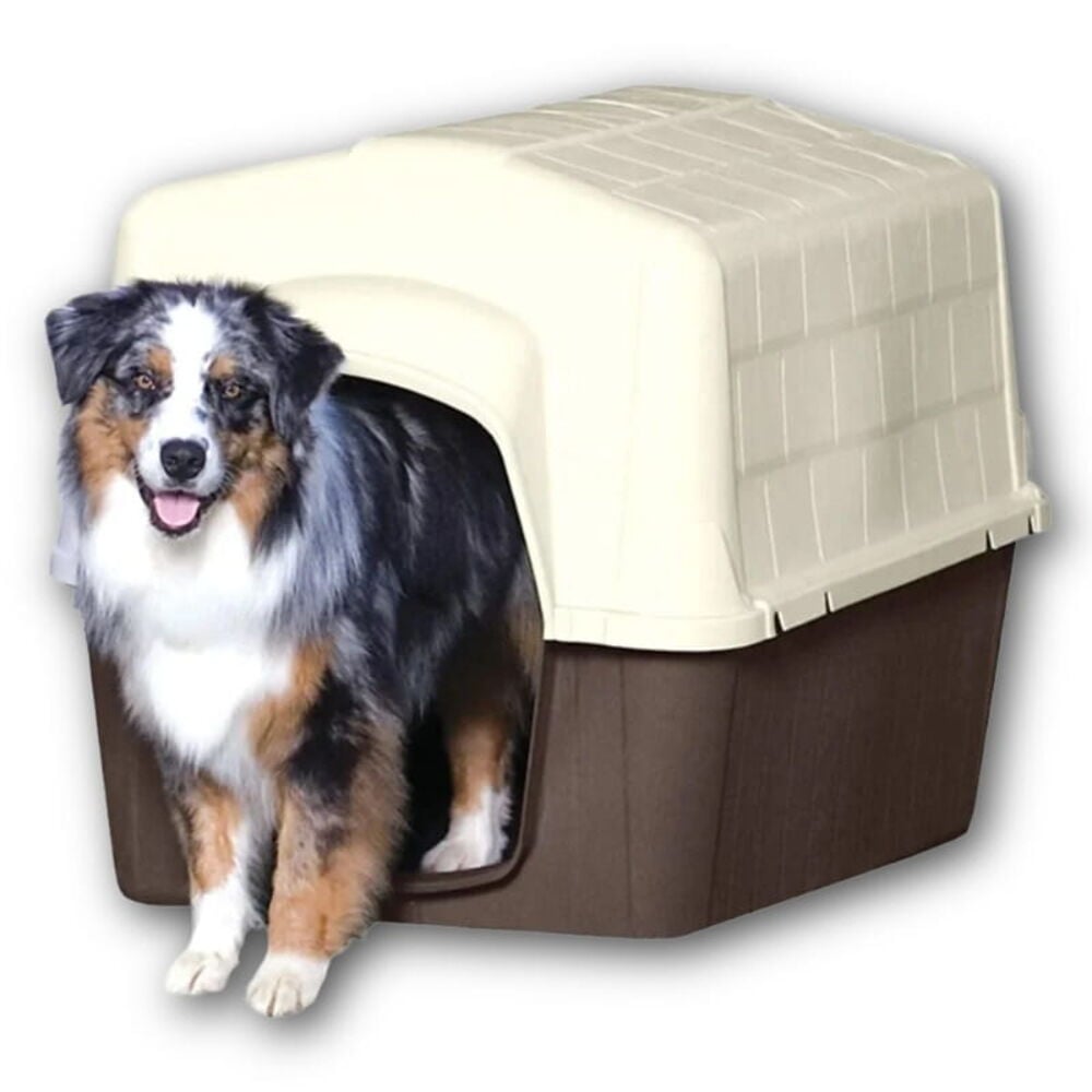 Dog Crates, Houses & Kennels