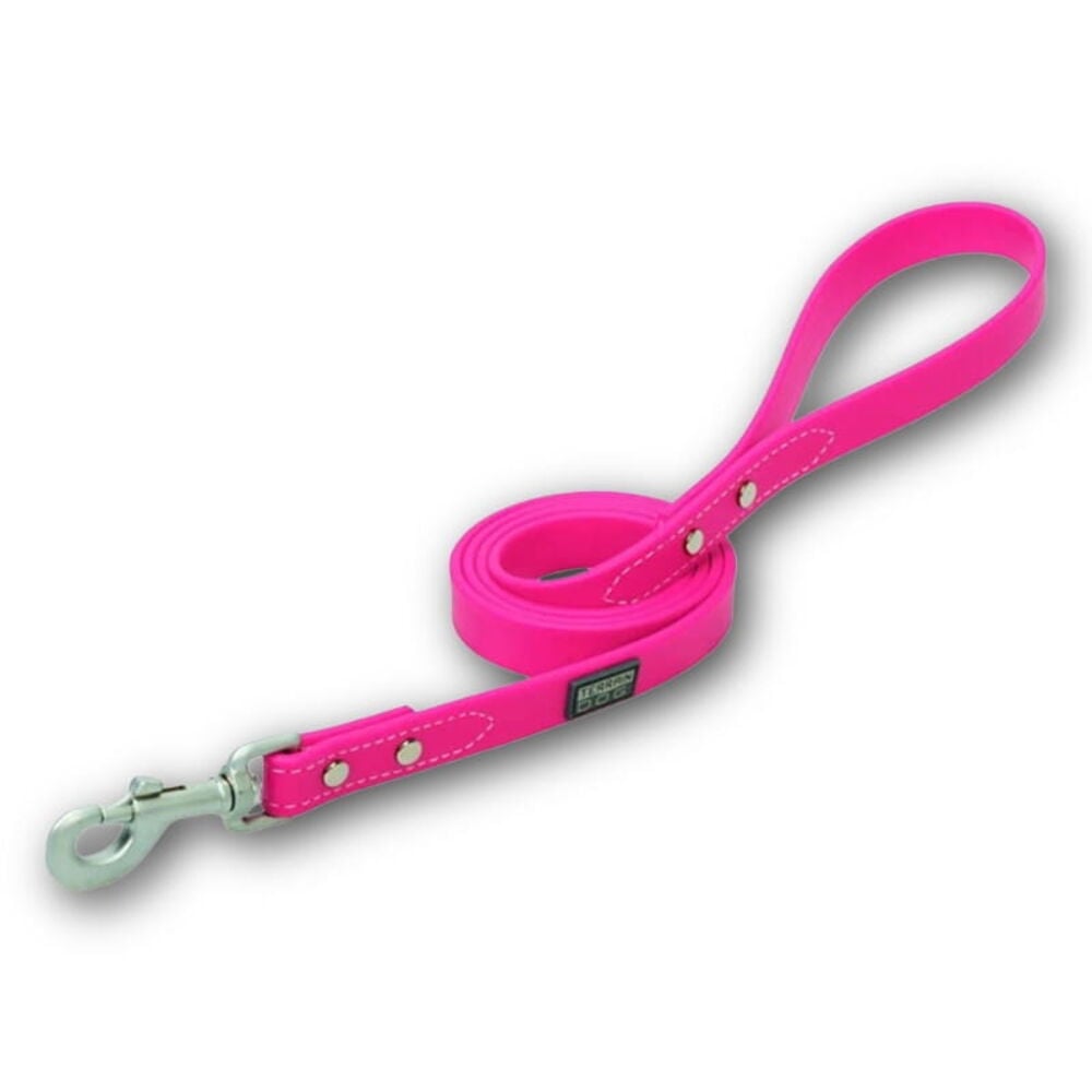 Dog Leashes