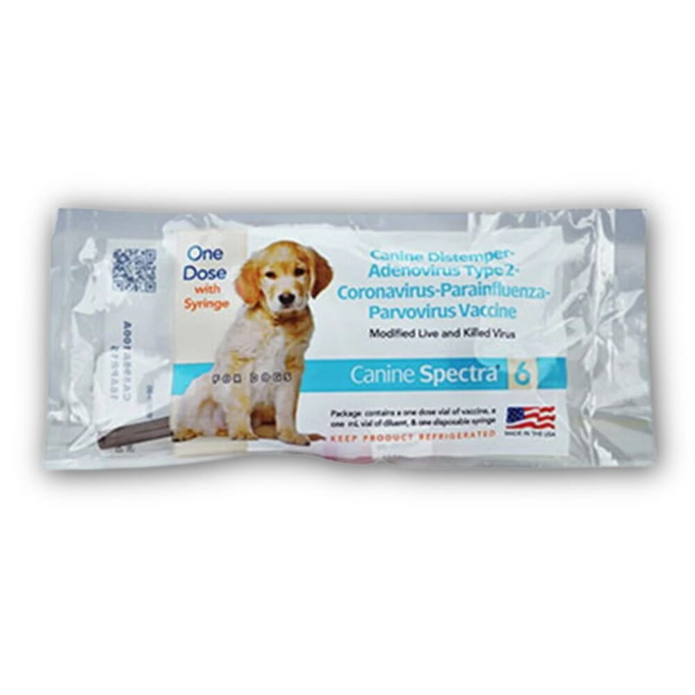 Dog Wormers & Vaccines