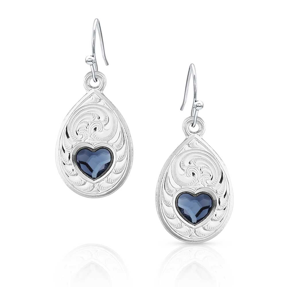 image of Montana Big Sky Artistry Earrings