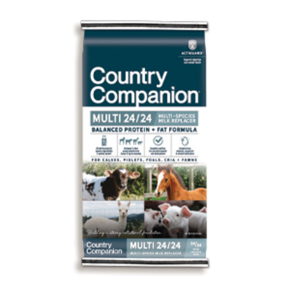 Milk Replacers