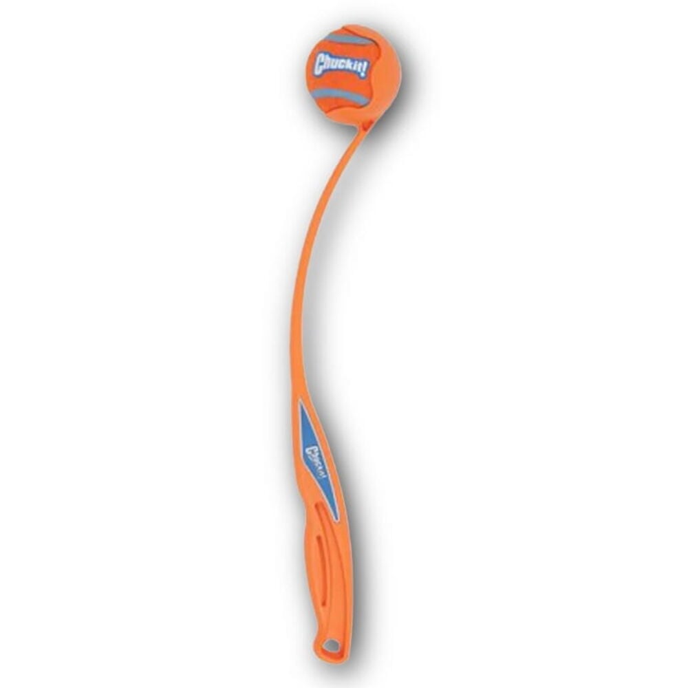 Fetch Dog Toys