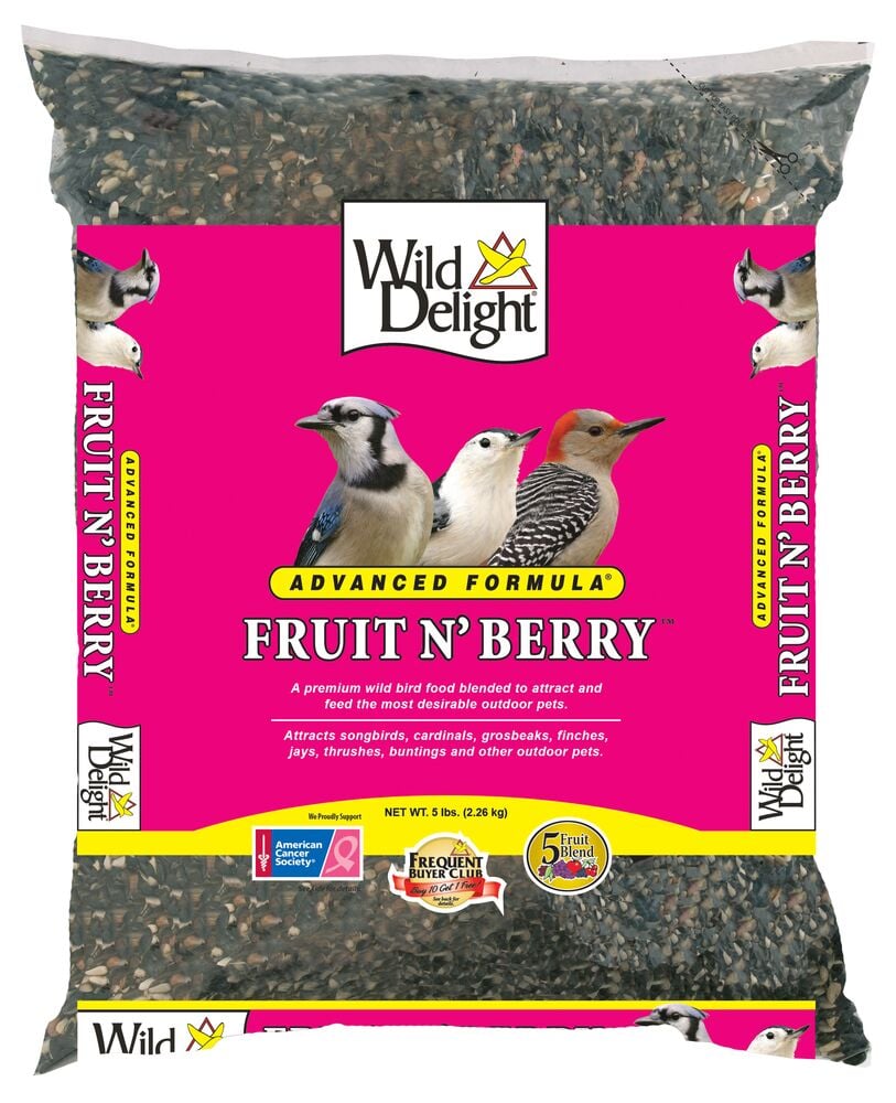 image of Fruit and Berry Cuisine