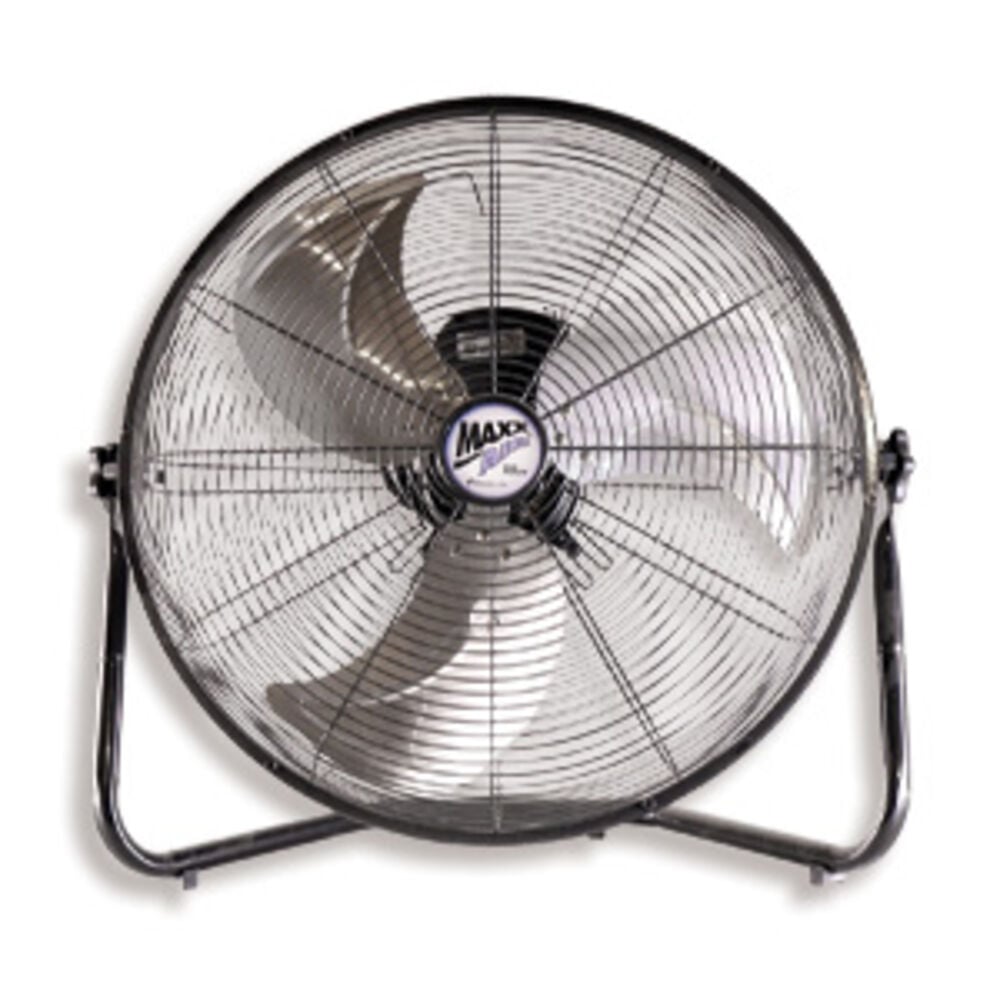 Fans