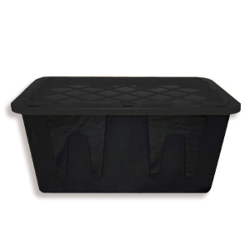 Storage and Organization