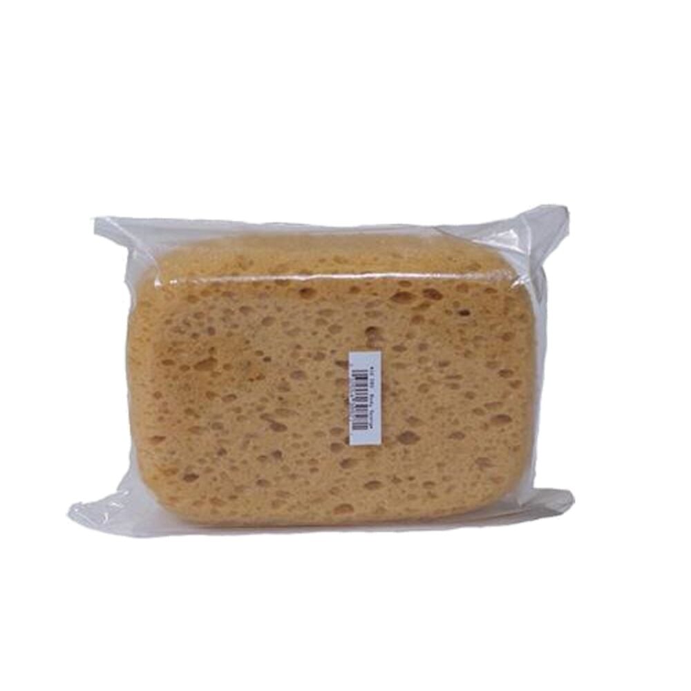 image of Body Sponge