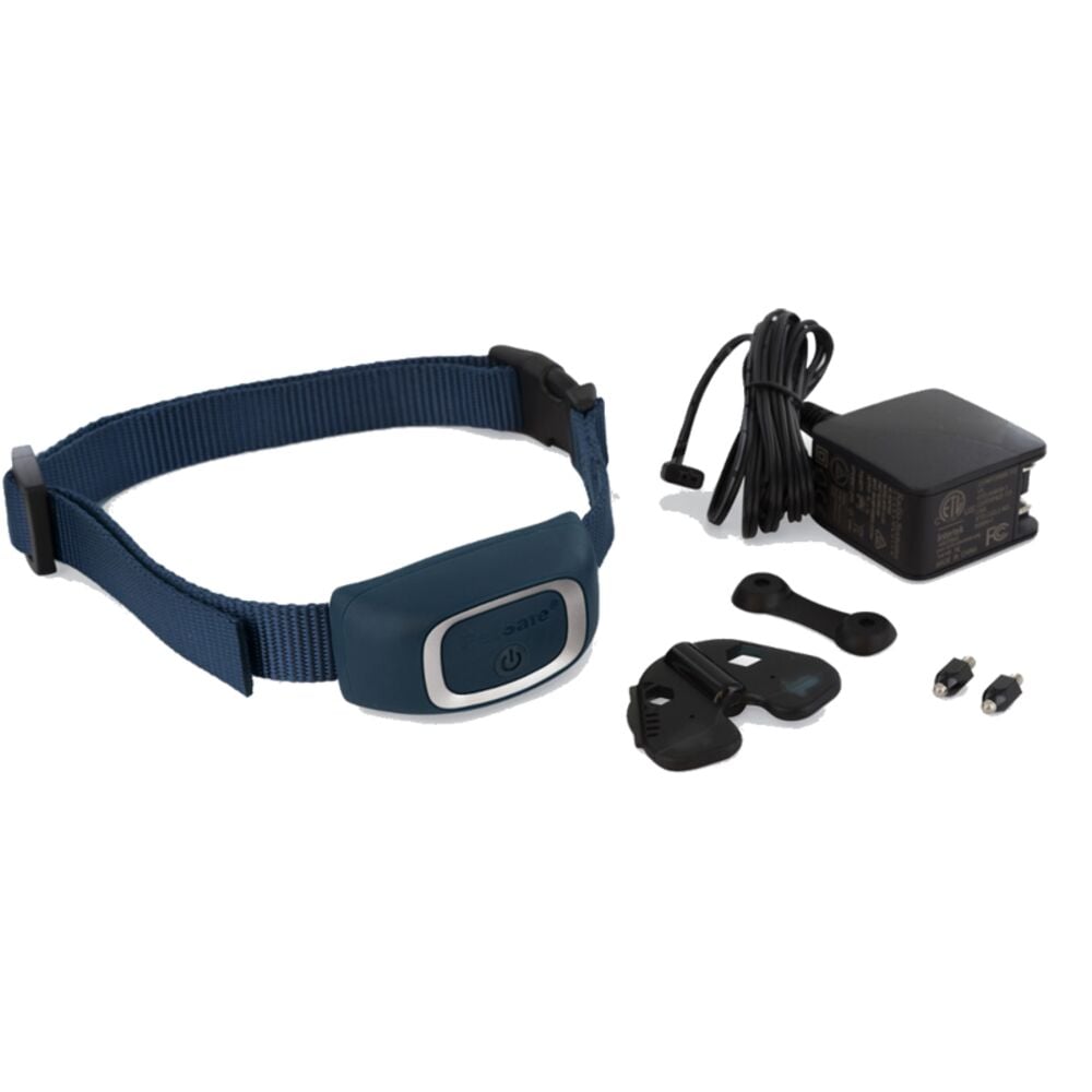 image of Smart Dog Trainer