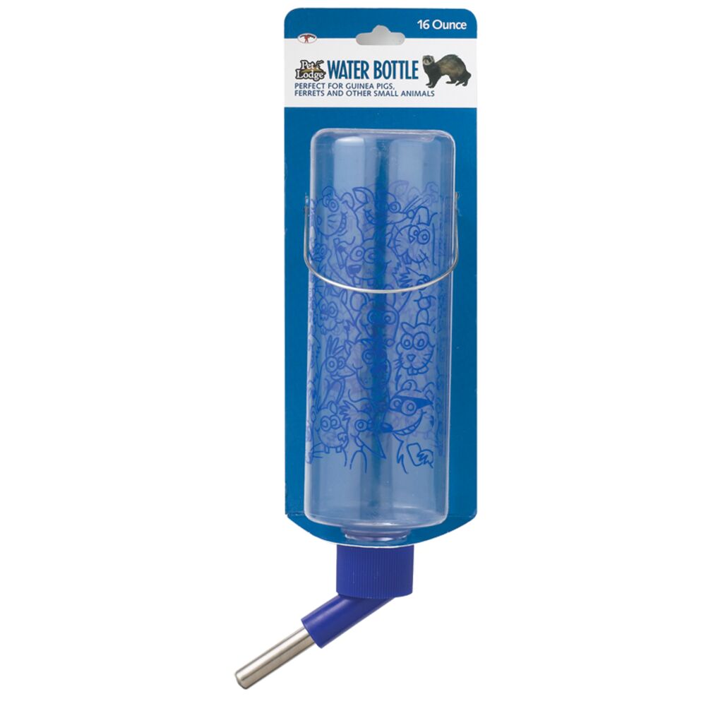image of Clear Plastic Bottle, 16oz