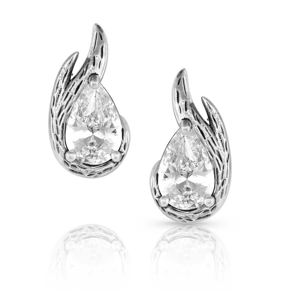 image of Frozen in Time Post Earrings