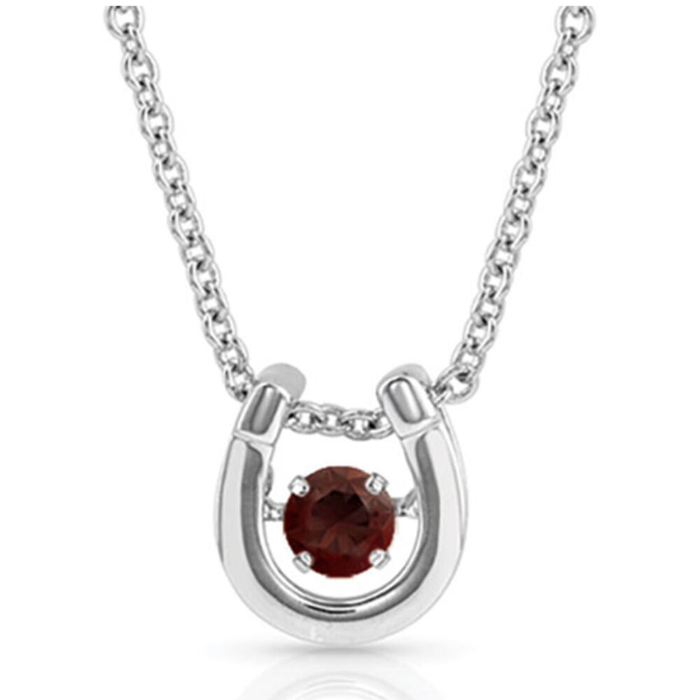 image of Dancing Birthstone Horseshoe Necklace