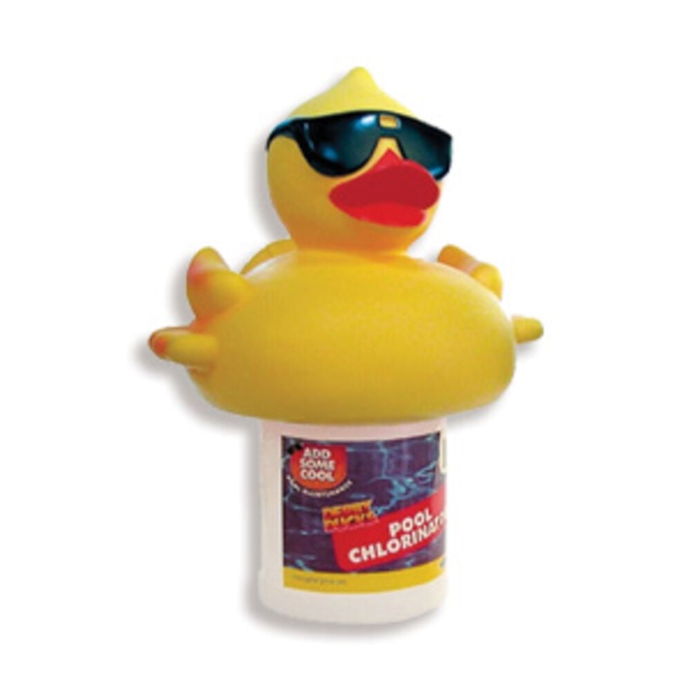 Pool Cleaning Tools