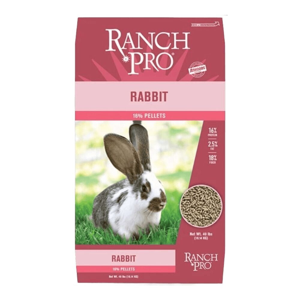 Rabbit Food