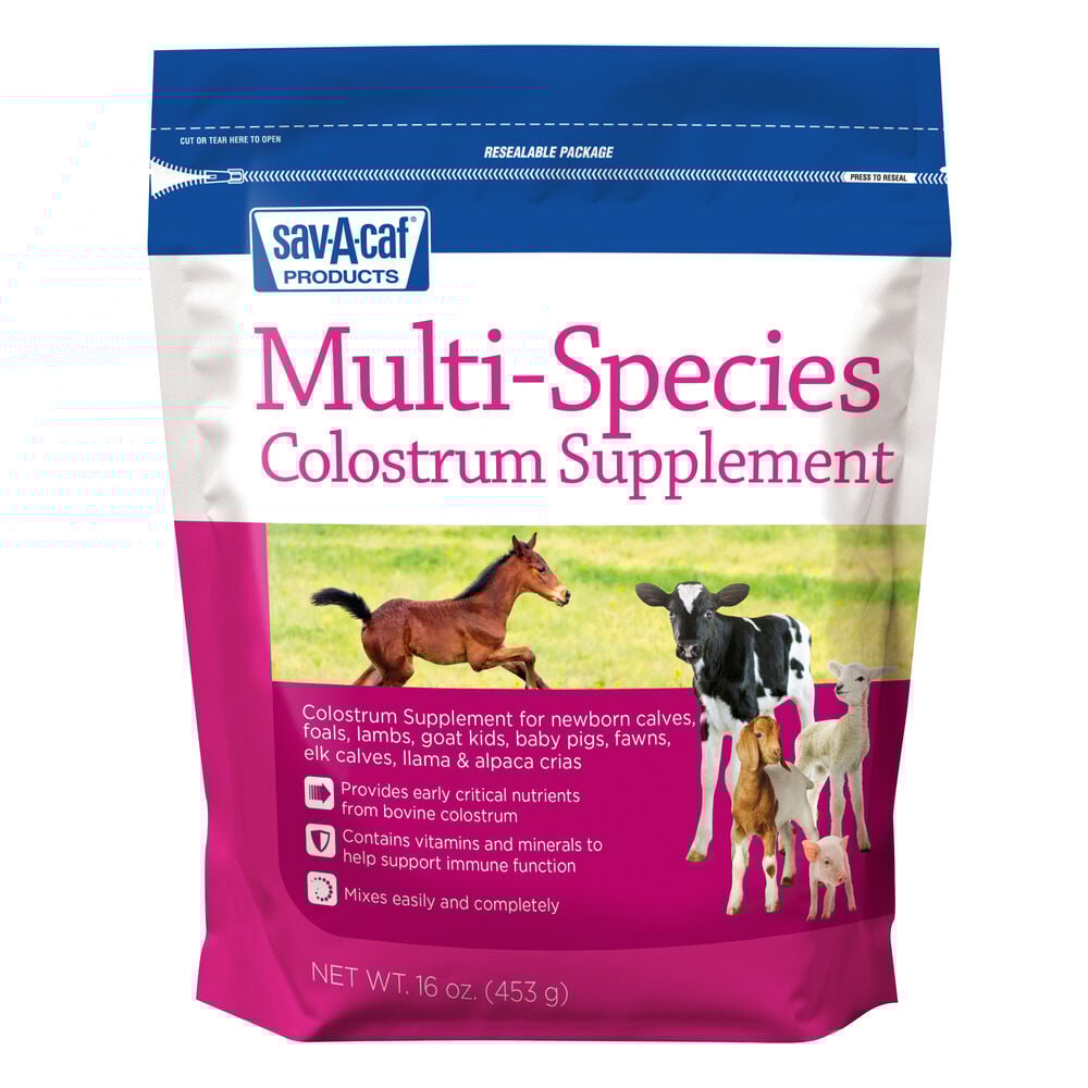 image of Ultra Start Multi Colostrum Supplement, 16 oz