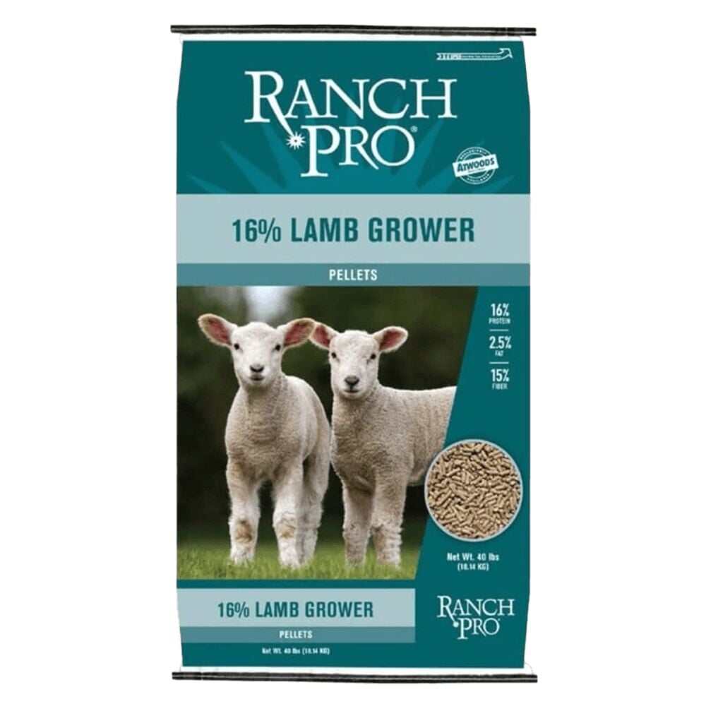 Sheep Feed