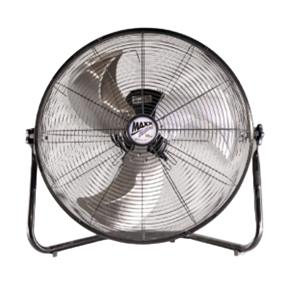 Fans