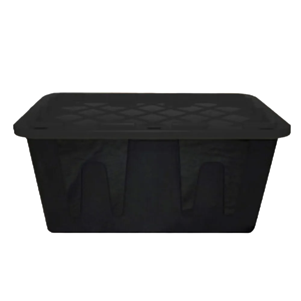 Storage and Organization