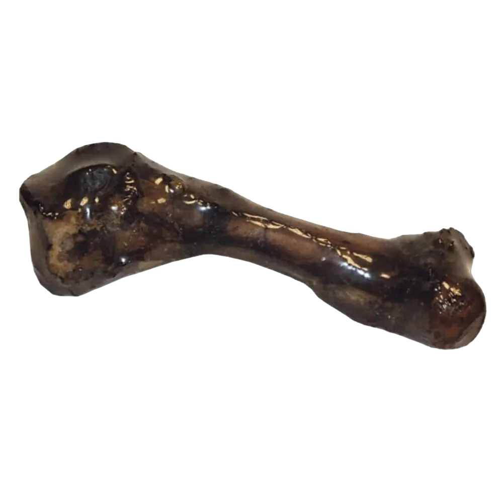 Bones & Chews