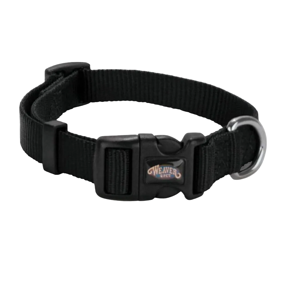 Dog Collars