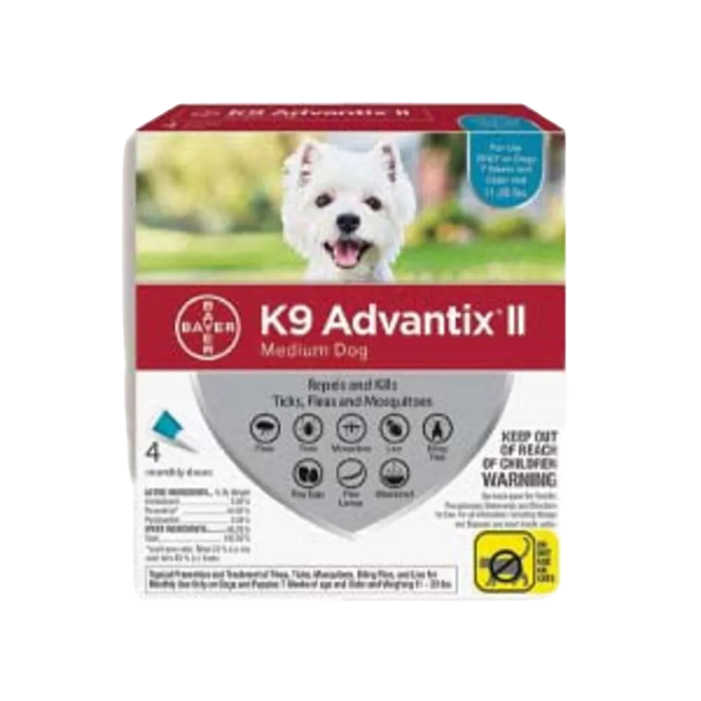 Dog Flea and Tick