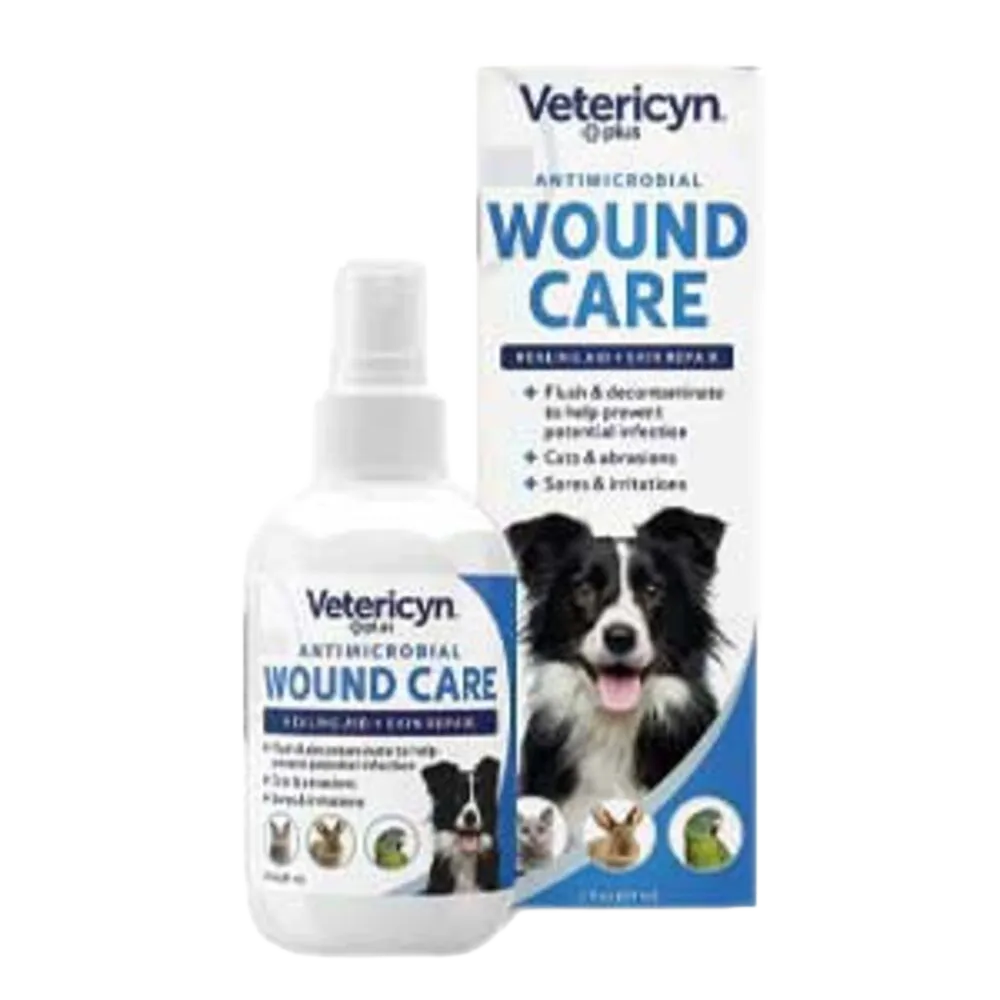Dog Health and Wellness