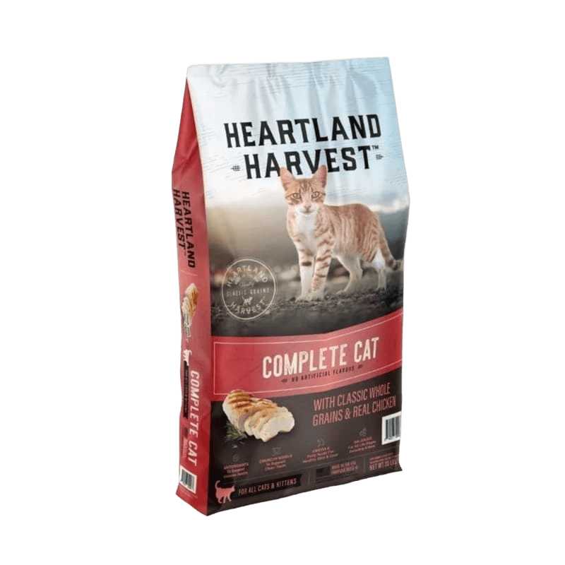 Kitten Food
