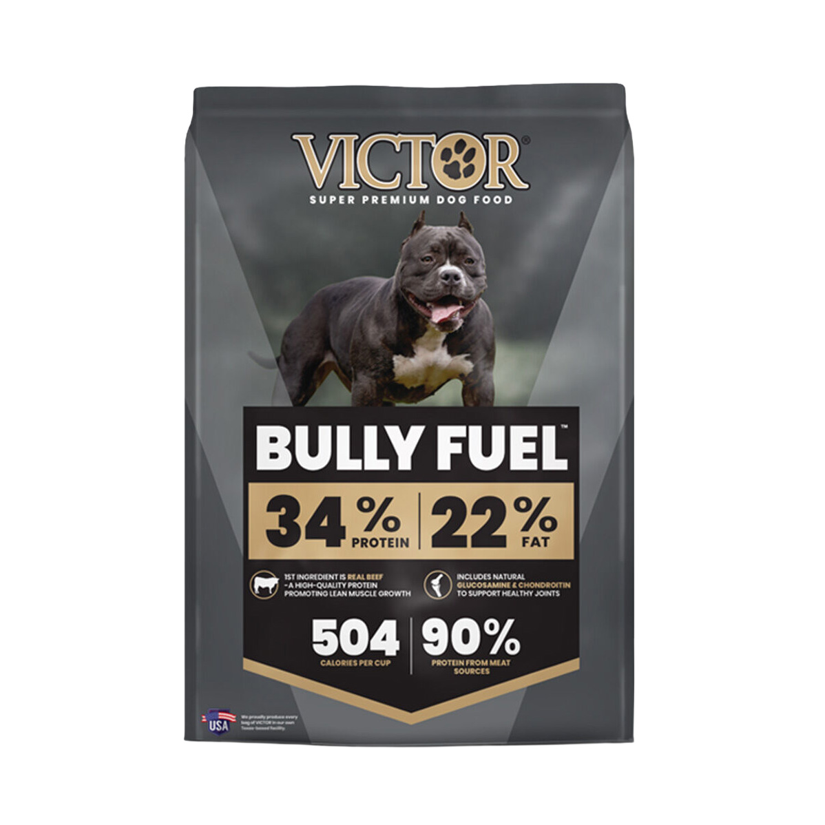 Victor Bully 2.0.jpg