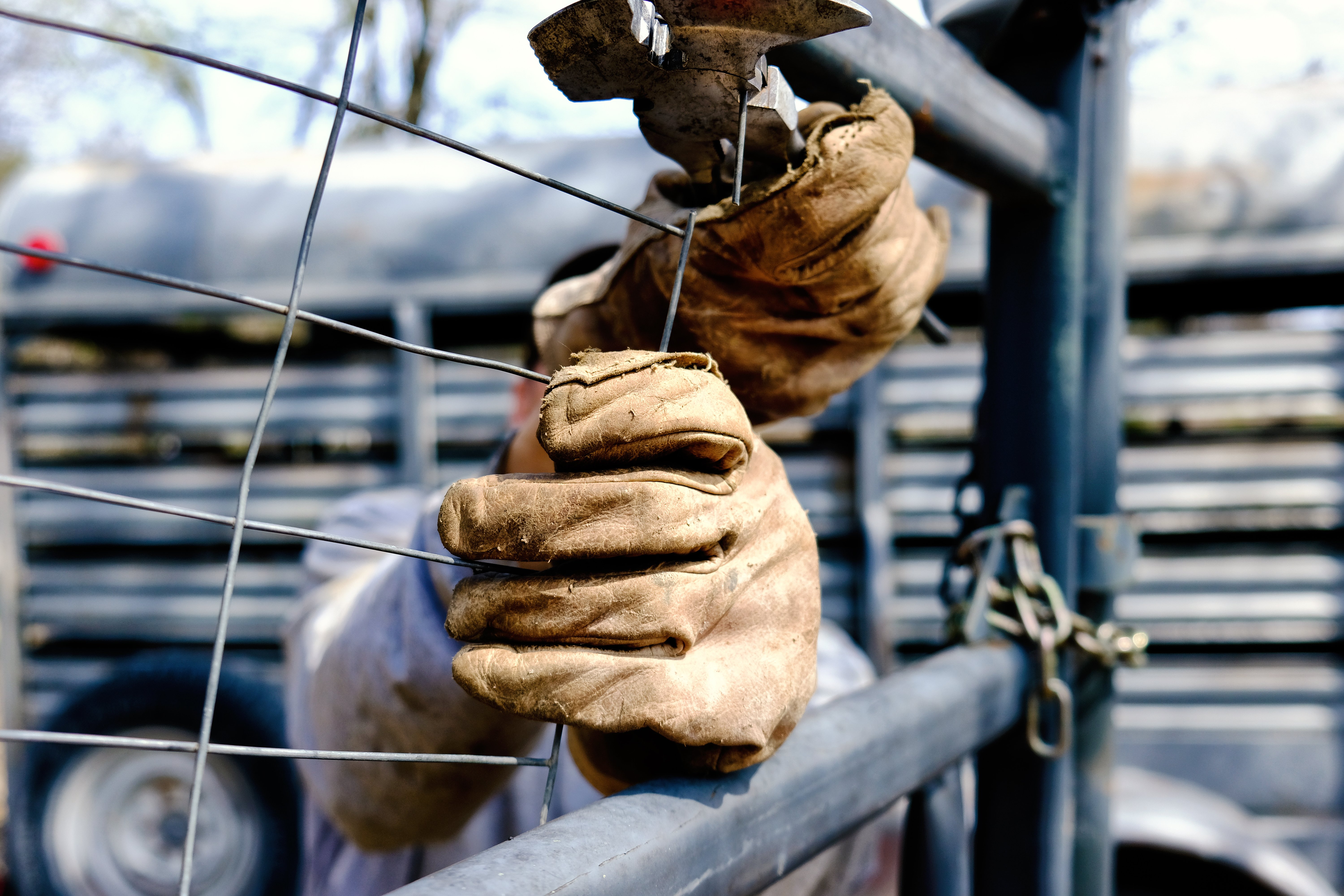 AdobeStock_259011771.jpeg