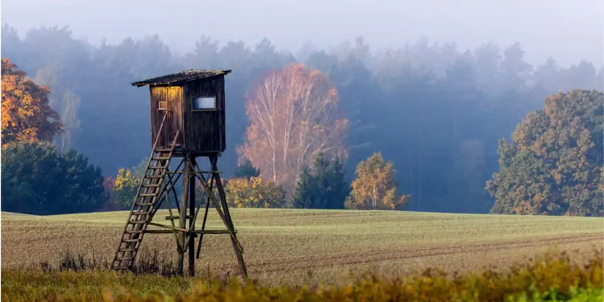 Hunting Trails.webp
