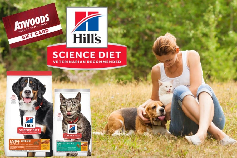 Science Diet Gift Card Promo