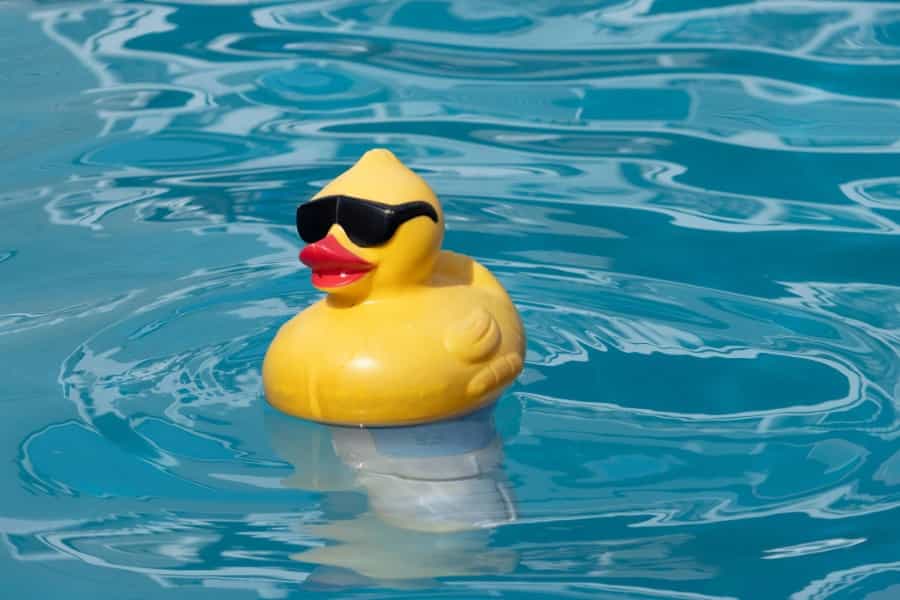 Pool Toys and Floats.jpg