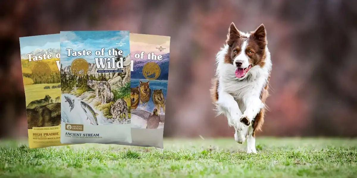 Taste Of The Wild.webp
