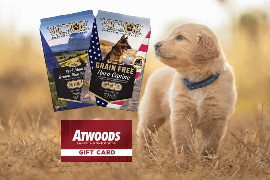 Victor Dog Food.jpg