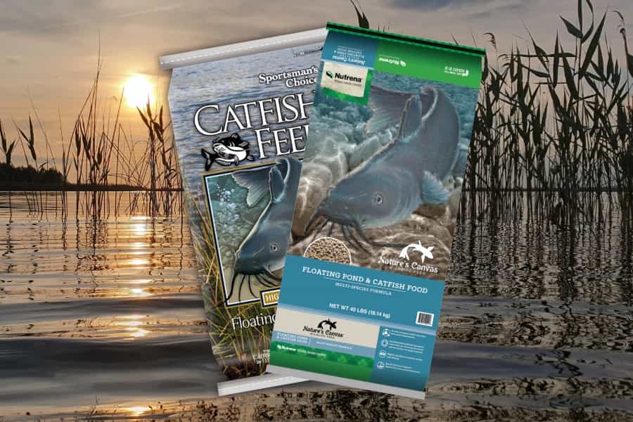 Catfish Food.jpg