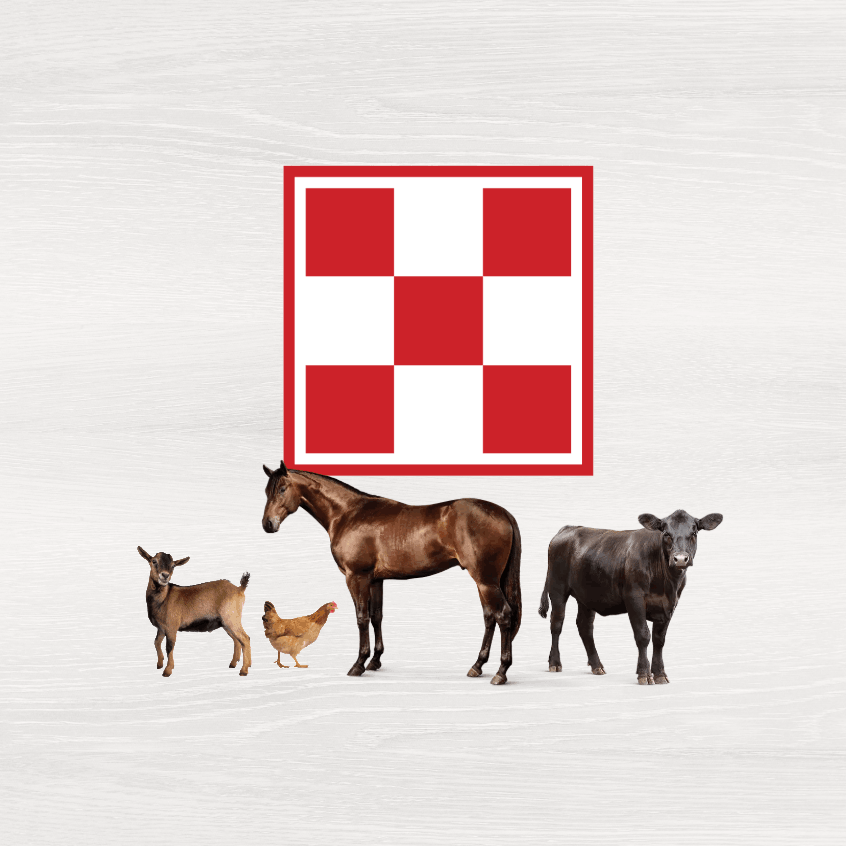 Purina Hero art 4 (1).png