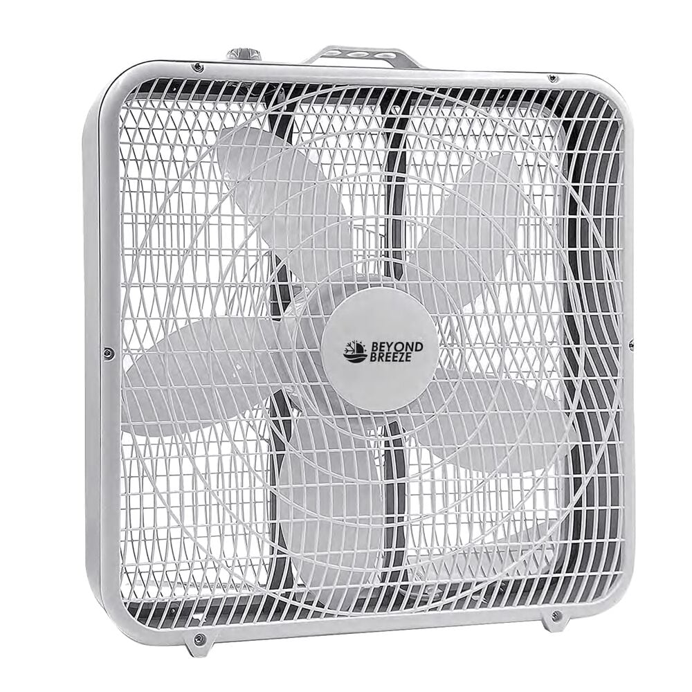 image of 20 in Box Fan (Brand May Vary)